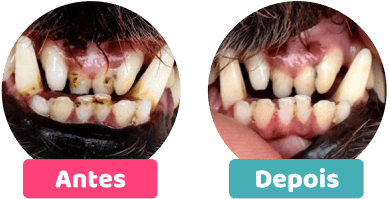 Comparação Antes e depois do produto