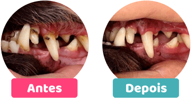 Comparação Antes e depois do produto